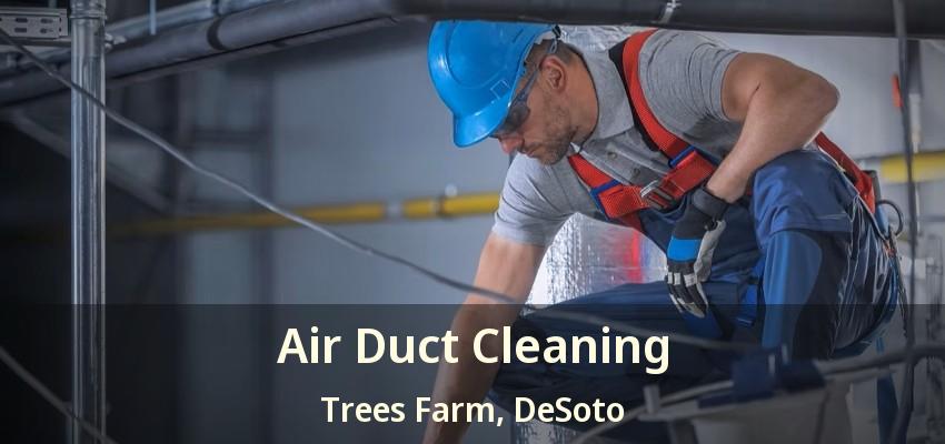 Air Duct Cleaning Trees Farm, DeSoto - TX