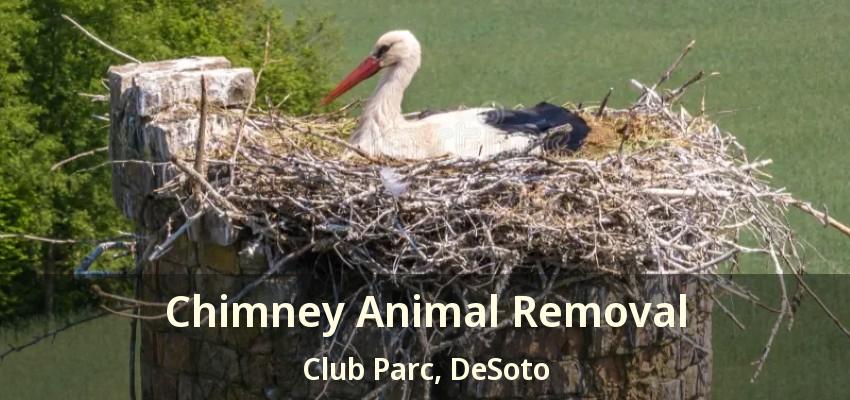 Chimney Animal Removal Club Parc, DeSoto - TX