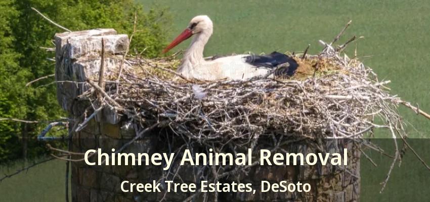 Chimney Animal Removal Creek Tree Estates, DeSoto - TX