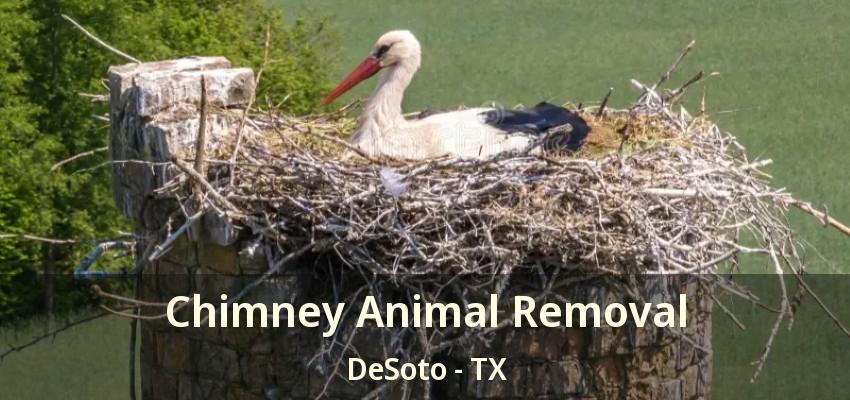 Chimney Animal Removal DeSoto - TX