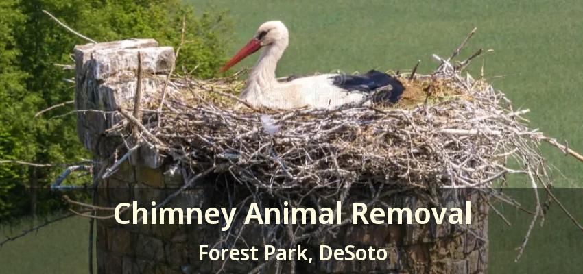Chimney Animal Removal Forest Park, DeSoto - TX