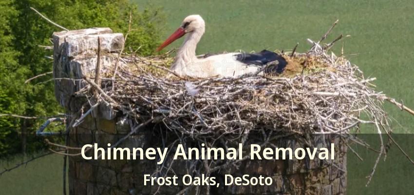 Chimney Animal Removal Frost Oaks, DeSoto - TX