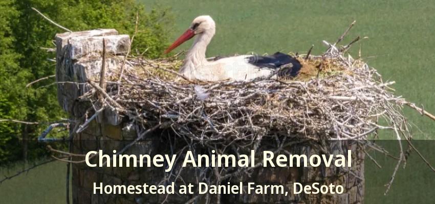 Chimney Animal Removal Homestead at Daniel Farm, DeSoto - TX