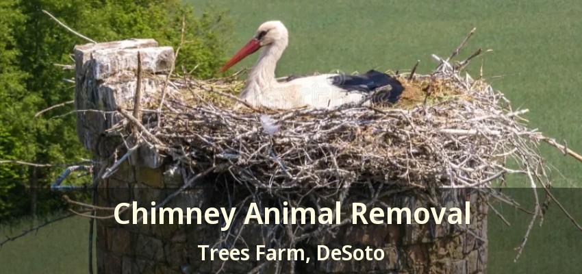 Chimney Animal Removal Trees Farm, DeSoto - TX