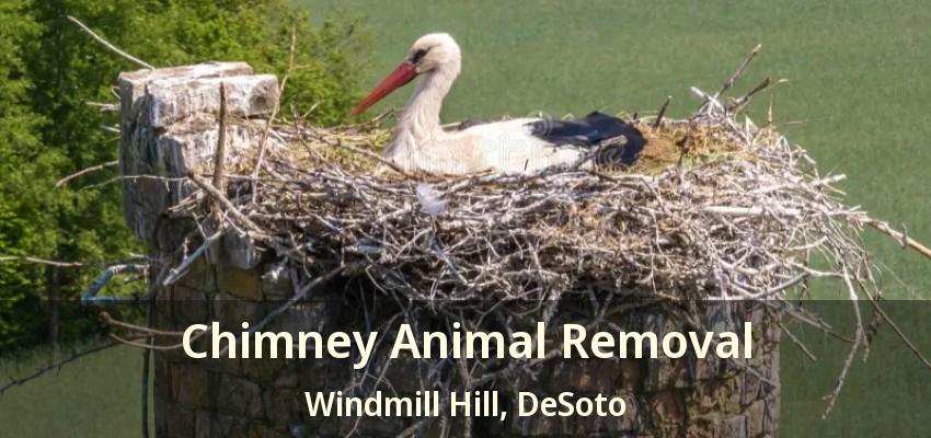 Chimney Animal Removal Windmill Hill, DeSoto - TX