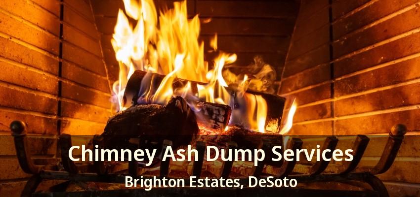 Chimney Ash Dump Services Brighton Estates, DeSoto - TX