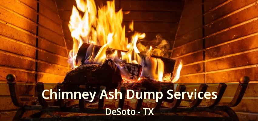Chimney Ash Dump Services DeSoto - TX