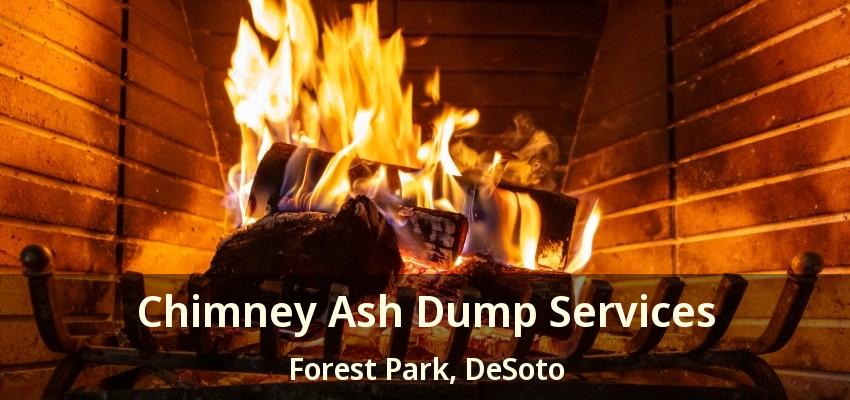 Chimney Ash Dump Services Forest Park, DeSoto - TX