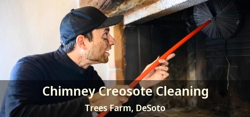 Chimney Creosote Cleaning Trees Farm, DeSoto - TX
