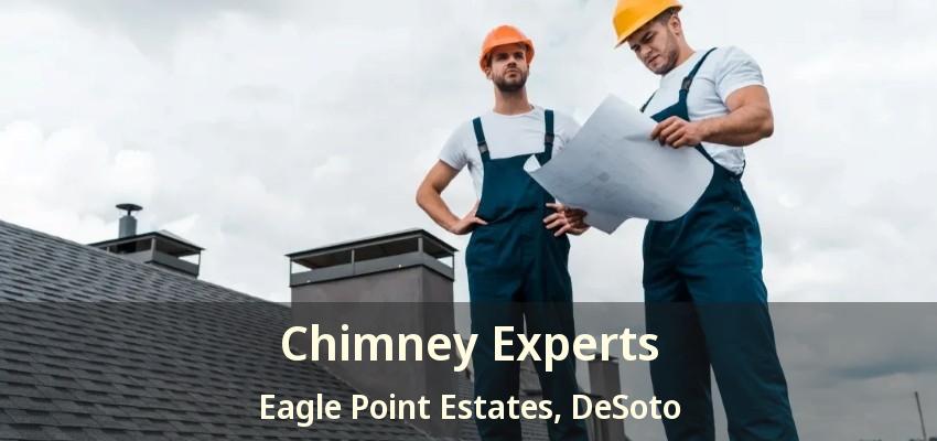 Chimney Experts Eagle Point Estates, DeSoto - TX
