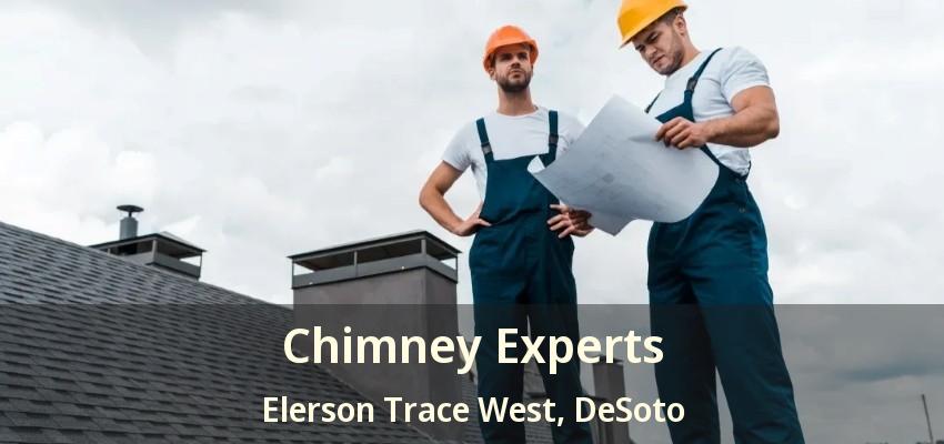 Chimney Experts Elerson Trace West, DeSoto - TX