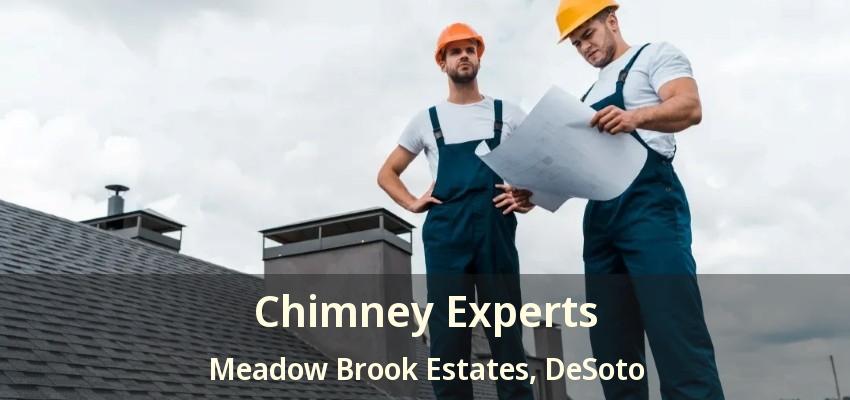 Chimney Experts Meadow Brook Estates, DeSoto - TX