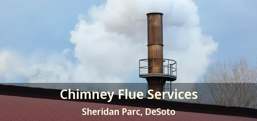 Chimney Flue Services Sheridan Parc, DeSoto - TX