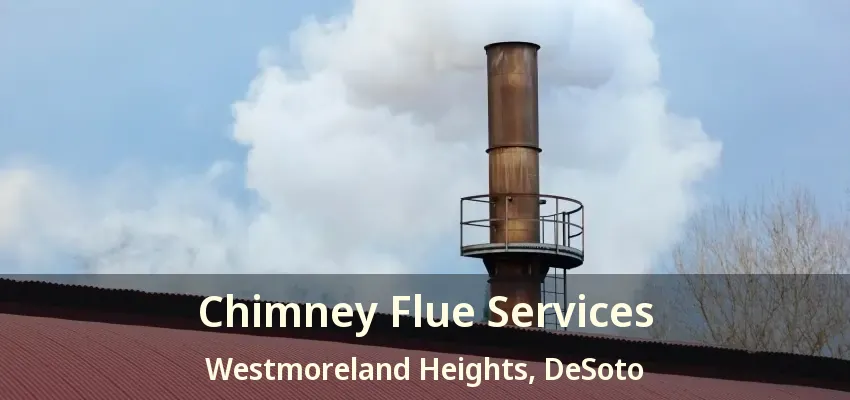 Chimney Flue Services Westmoreland Heights, DeSoto - TX