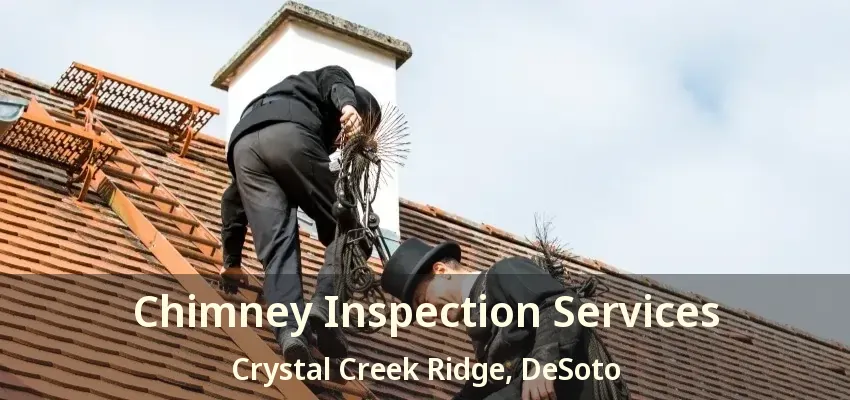 Chimney Inspection Services Crystal Creek Ridge, DeSoto - TX