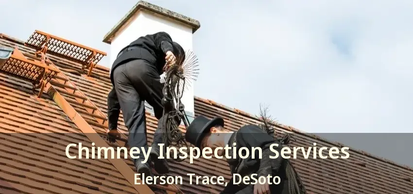 Chimney Inspection Services Elerson Trace, DeSoto - TX