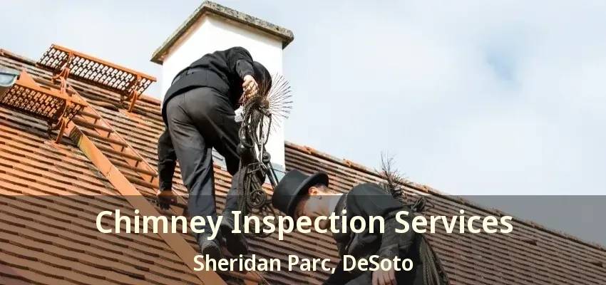 Chimney Inspection Services Sheridan Parc, DeSoto - TX