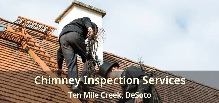 Chimney Inspection Services Ten Mile Creek, DeSoto - TX