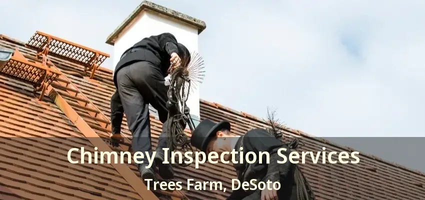 Chimney Inspection Services Trees Farm, DeSoto - TX