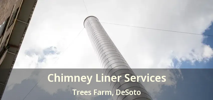 Chimney Liner Services Trees Farm, DeSoto - TX