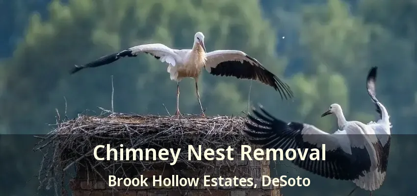 Chimney Nest Removal Brook Hollow Estates, DeSoto - TX