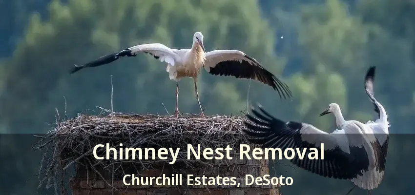 Chimney Nest Removal Churchill Estates, DeSoto - TX