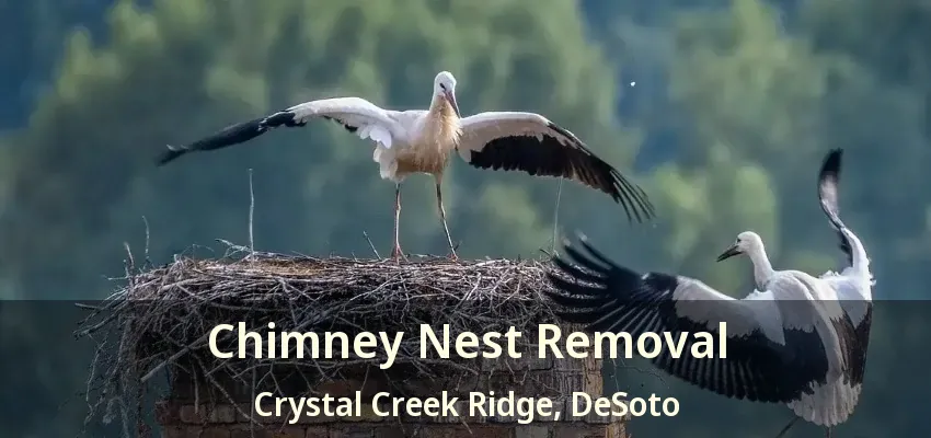 Chimney Nest Removal Crystal Creek Ridge, DeSoto - TX