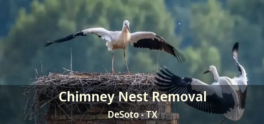 Chimney Nest Removal DeSoto - TX