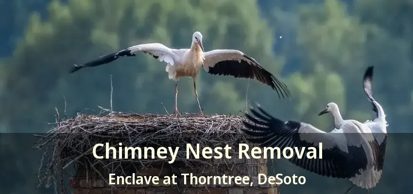 Chimney Nest Removal Enclave at Thorntree, DeSoto - TX