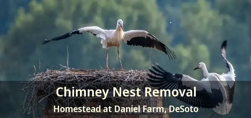 Chimney Nest Removal Homestead at Daniel Farm, DeSoto - TX