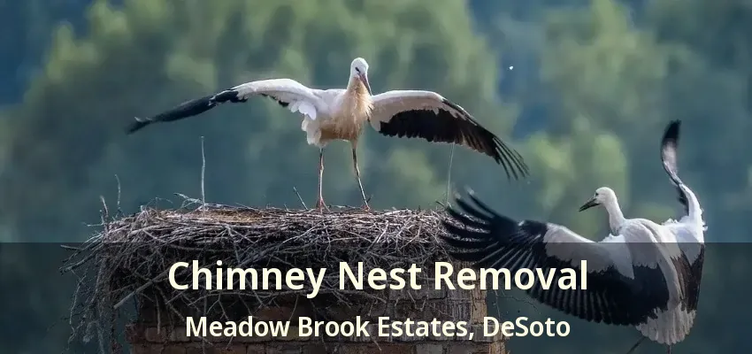 Chimney Nest Removal Meadow Brook Estates, DeSoto - TX