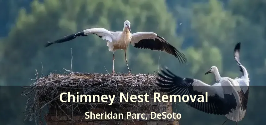 Chimney Nest Removal Sheridan Parc, DeSoto - TX