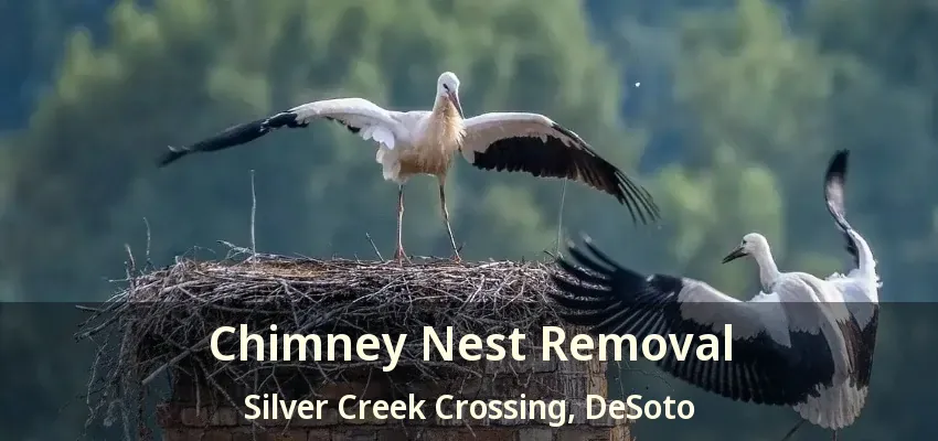 Chimney Nest Removal Silver Creek Crossing, DeSoto - TX