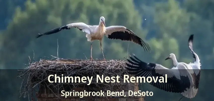 Chimney Nest Removal Springbrook Bend, DeSoto - TX