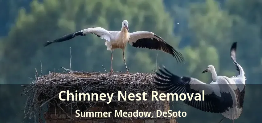 Chimney Nest Removal Summer Meadow, DeSoto - TX