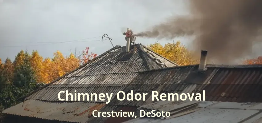 Chimney Odor Removal Crestview, DeSoto - TX