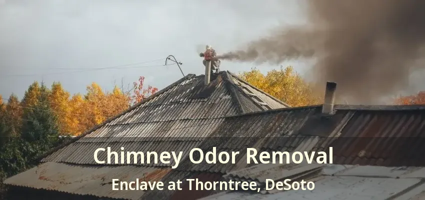 Chimney Odor Removal Enclave at Thorntree, DeSoto - TX