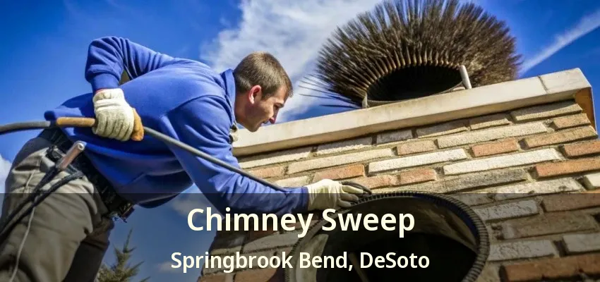 Chimney Sweep Springbrook Bend, DeSoto - TX