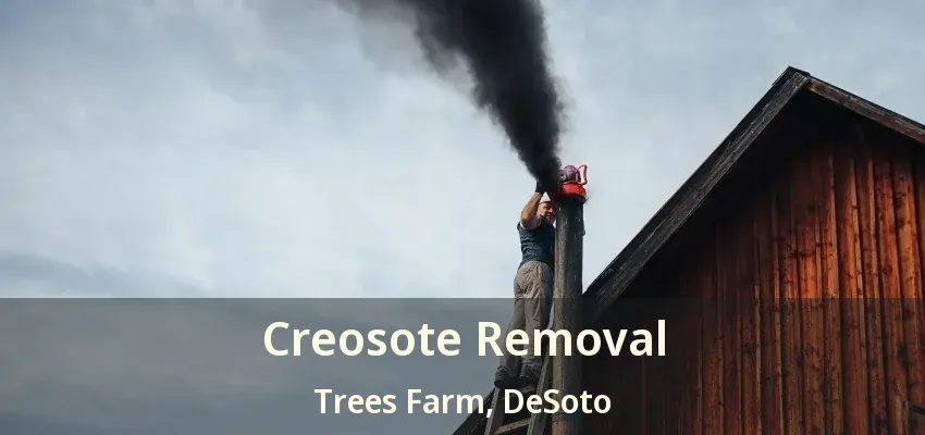 Creosote Removal Trees Farm, DeSoto - TX
