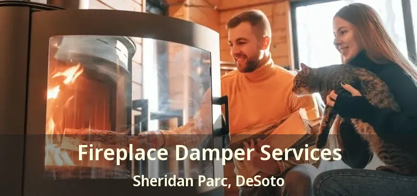 Fireplace Damper Services Sheridan Parc, DeSoto - TX