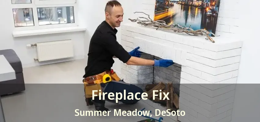 Fireplace Fix Summer Meadow, DeSoto - TX