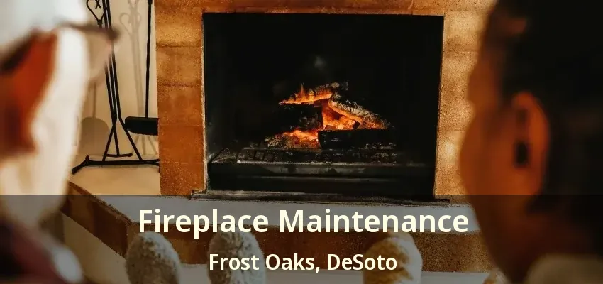 Fireplace Maintenance Frost Oaks, DeSoto - TX