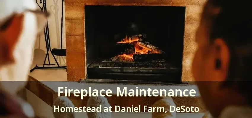 Fireplace Maintenance Homestead at Daniel Farm, DeSoto - TX
