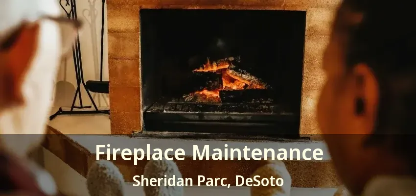 Fireplace Maintenance Sheridan Parc, DeSoto - TX