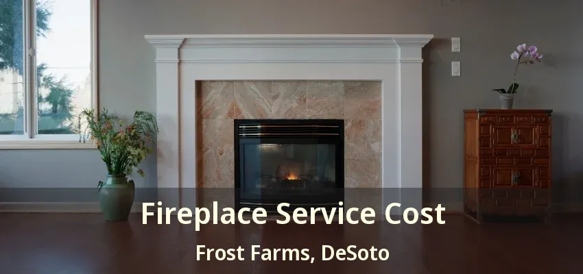 Fireplace Service Cost Frost Farms, DeSoto - TX