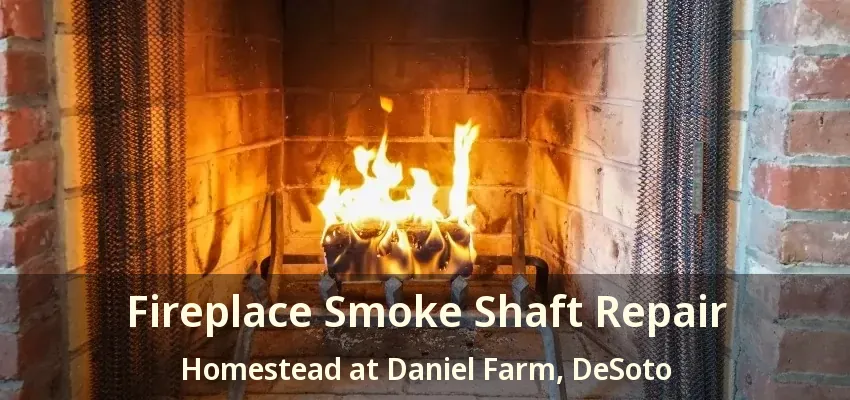 Fireplace Smoke Shaft Repair Homestead at Daniel Farm, DeSoto - TX