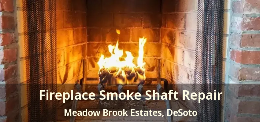 Fireplace Smoke Shaft Repair Meadow Brook Estates, DeSoto - TX