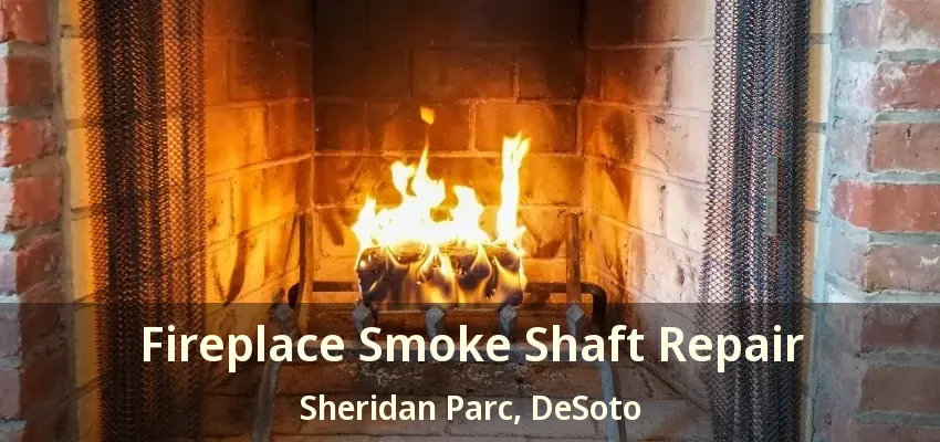 Fireplace Smoke Shaft Repair Sheridan Parc, DeSoto - TX