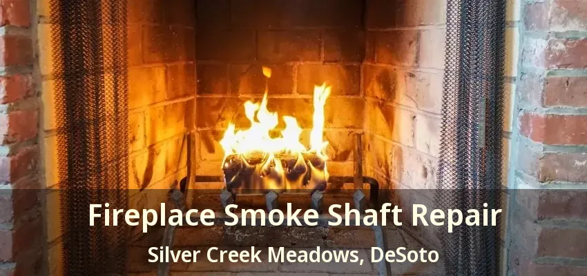 Fireplace Smoke Shaft Repair Silver Creek Meadows, DeSoto - TX