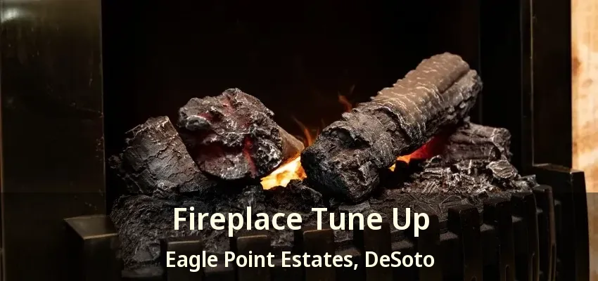 Fireplace Tune Up Eagle Point Estates, DeSoto - TX